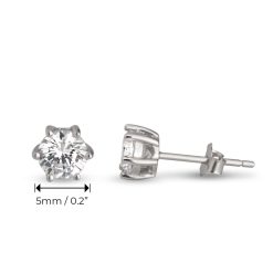 Clous d'Oreilles Zirconium