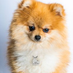 Médaille Chien ou Chat en forme de Cœur
