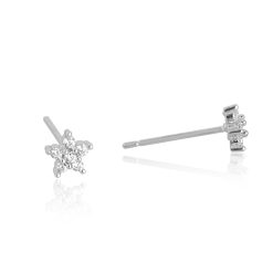 Puces Fleur Étoilée en Argent et Zirconium