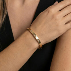 Bracelet Jonc Cœurs et Zirconium en Acier Doré fros plan